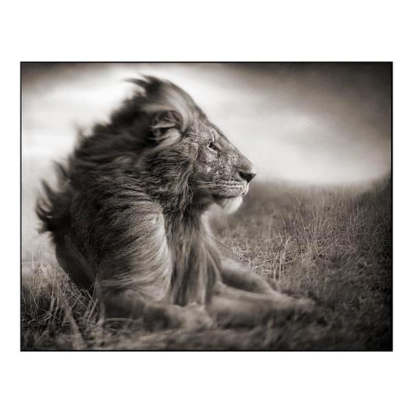 54d416bee7cb649ab50cc5c74cd2e1fa677c7a63_large